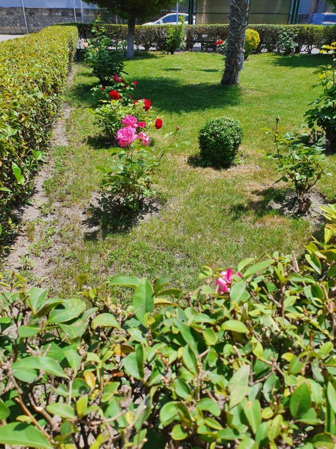 Sheki Avtovagzal Motel Екстер'єр фото