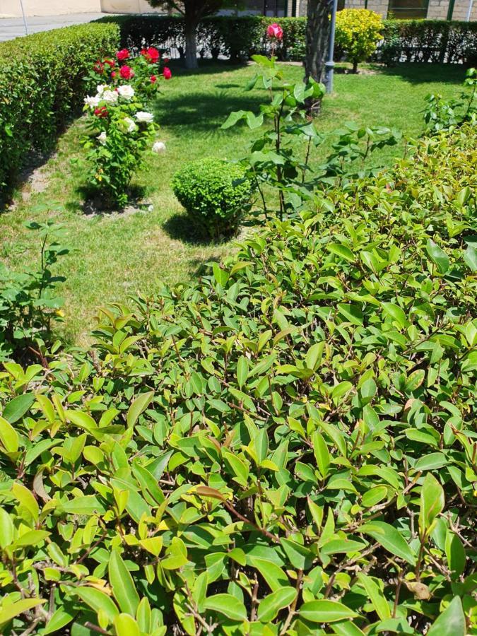 Sheki Avtovagzal Motel Екстер'єр фото